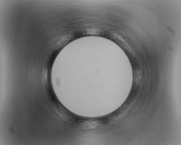 X0000116100213201001040958