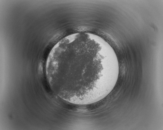 X0000116100214201001040958