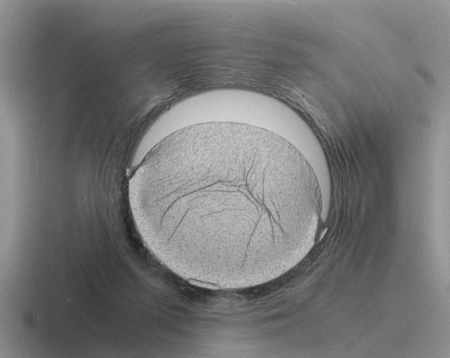 X0000116100215201001040958