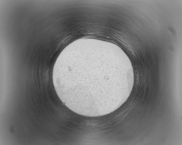 X0000116100216201001040958