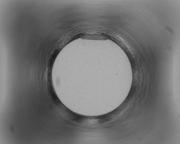 X0000116100217201001040958