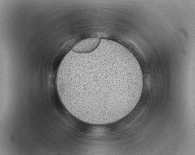 X0000116100218201001040958