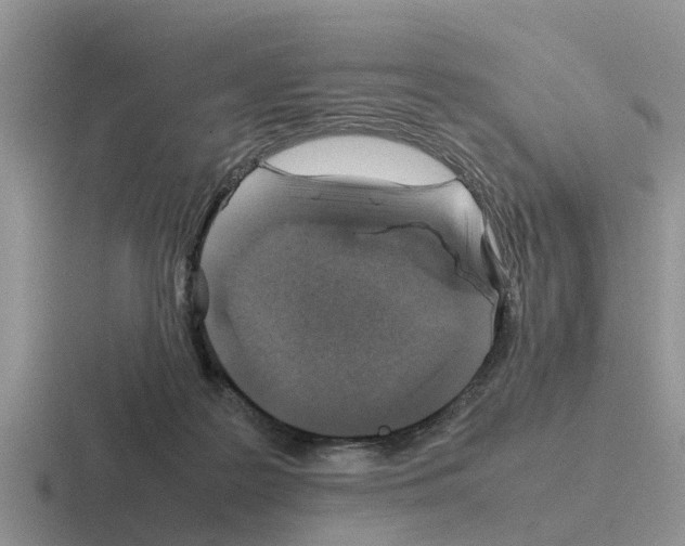 X0000116100219201001040958