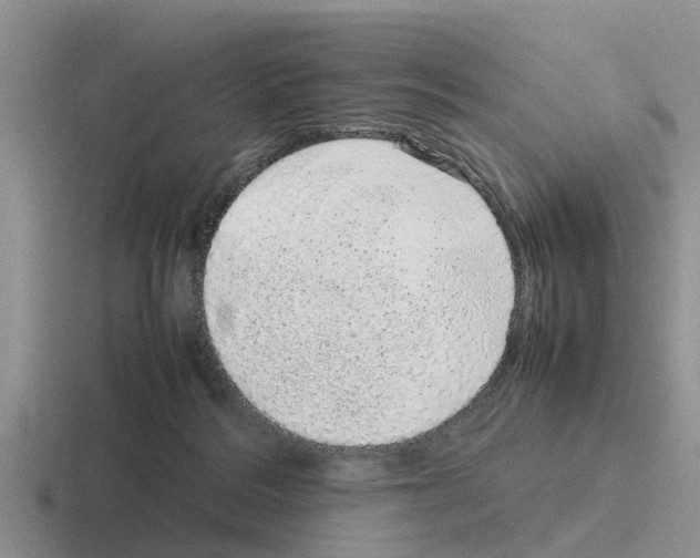 X0000116100220201001040958