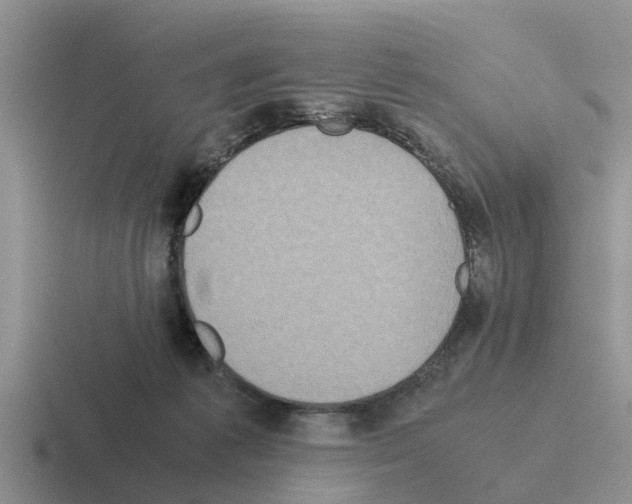 X0000116100221201001040958