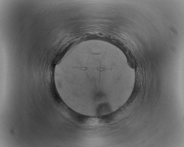 X0000116100227201001040958