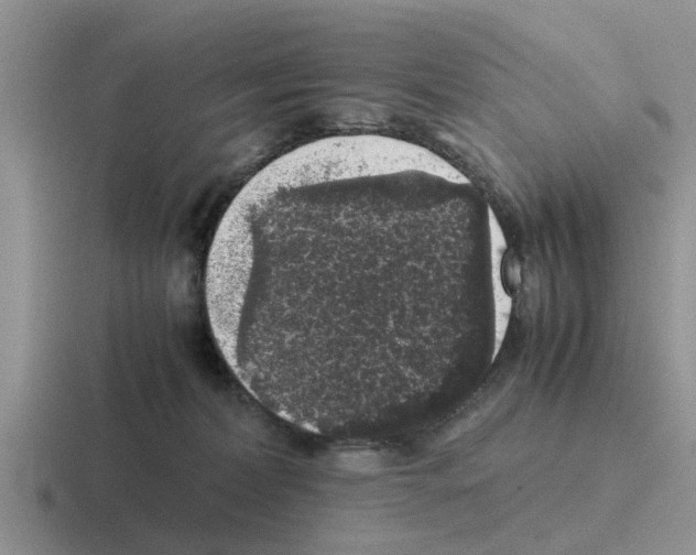 X0000116100228201001040958