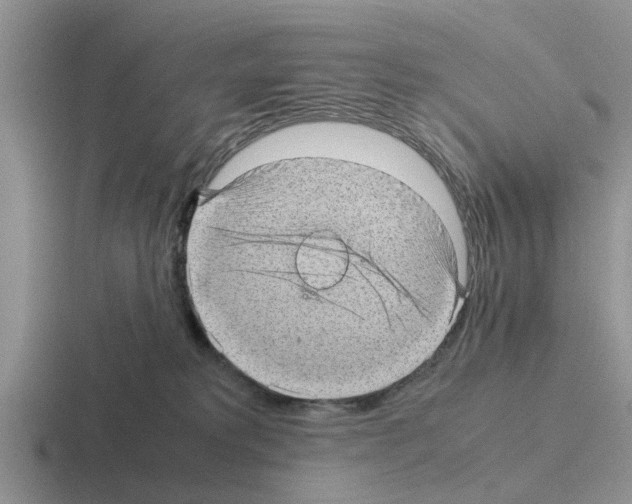 X0000116100229201001040958