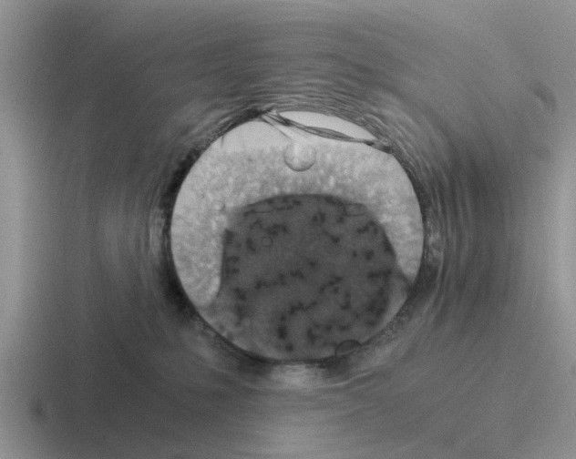 X0000116100231201001040958