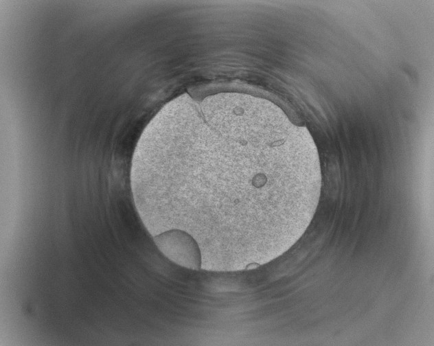 X0000116100232201001040958