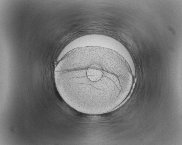 X0000116100233201001040958