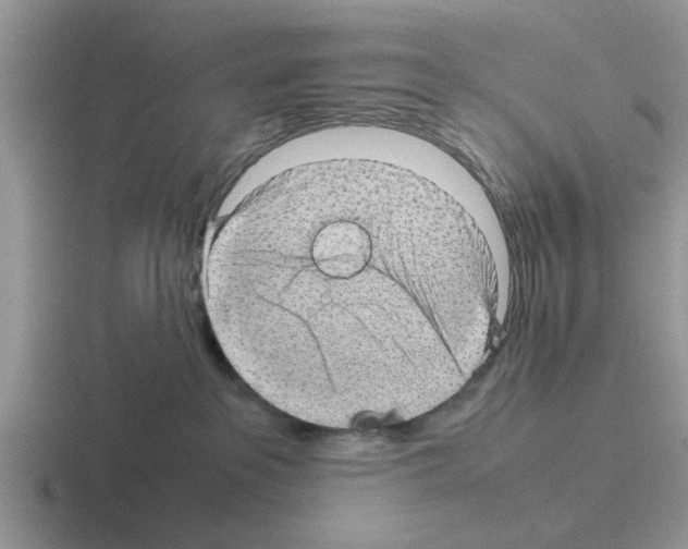 X0000116100237201001040958