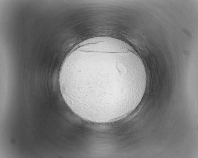 X0000116100240201001040958