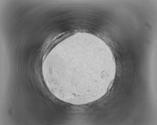 X0000116100241201001040957