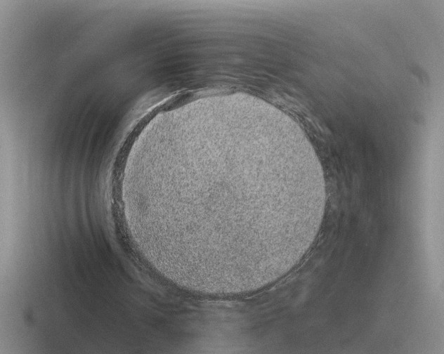 X0000116100242201001040957