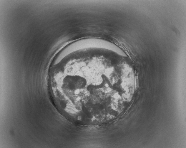 X0000116100243201001040957