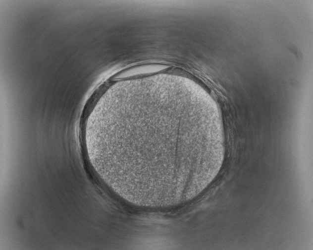 X0000116100244201001040957