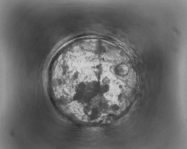 X0000116100247201001040957