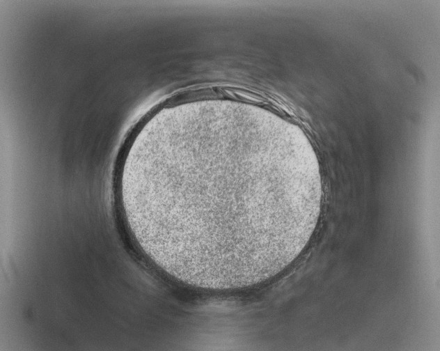 X0000116100248201001040957