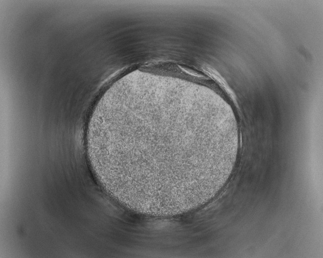 X0000116100249201001040957