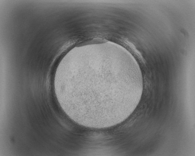 X0000116100250201001040957