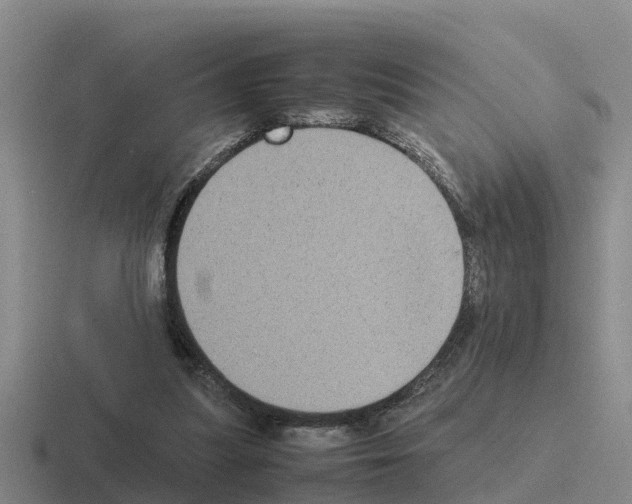 X0000116100251201001040957