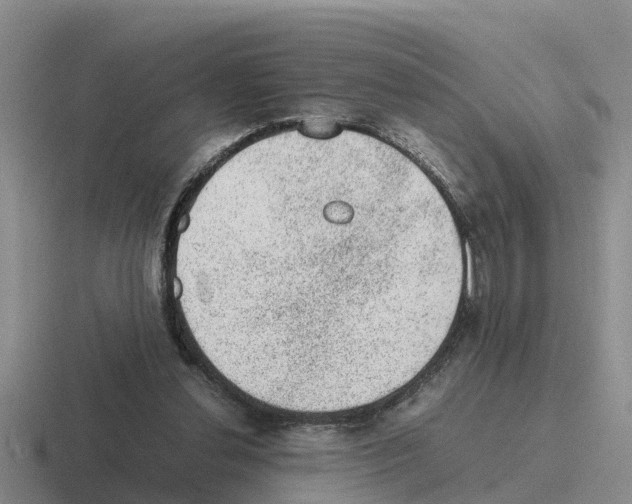 X0000116100252201001040957