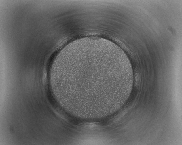 X0000116100254201001040957