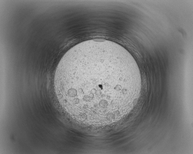 X0000116100255201001040957