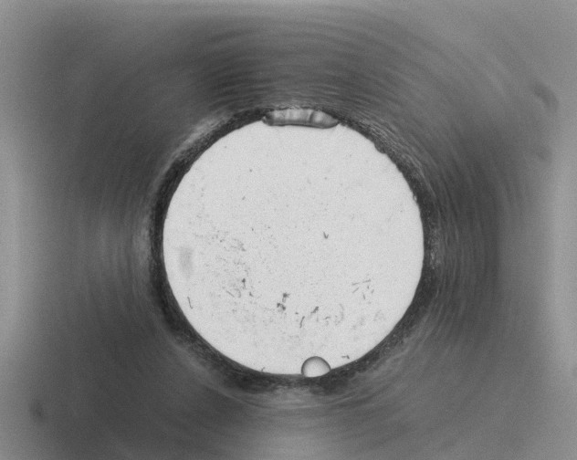 X0000116100256201001040957