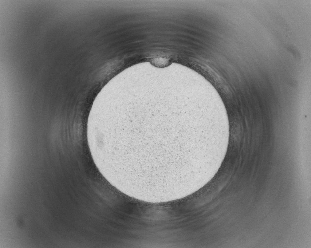 X0000116100261201001040957