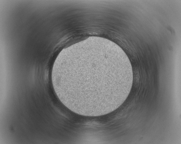 X0000116100262201001040957