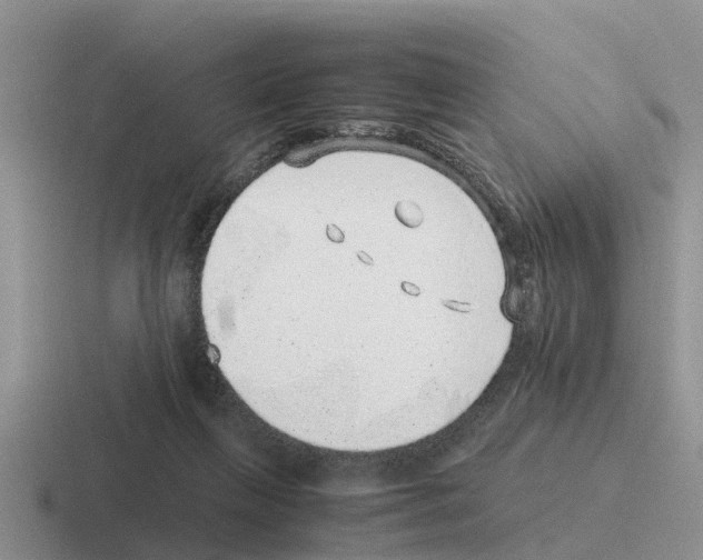 X0000116100263201001040957