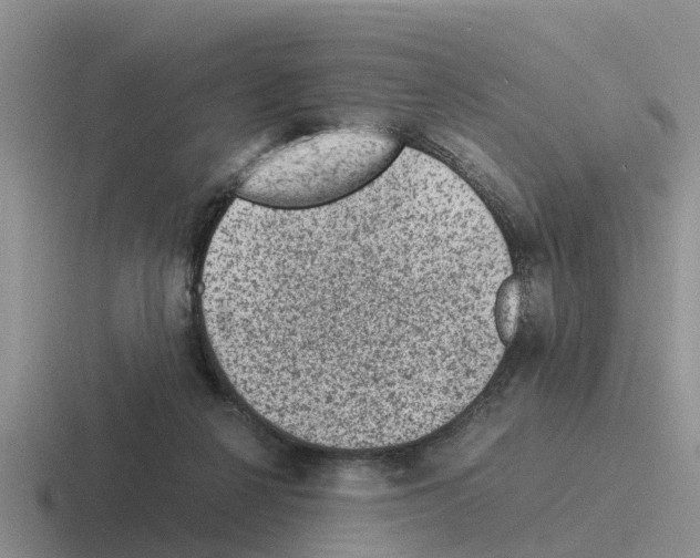 X0000116100264201001040957