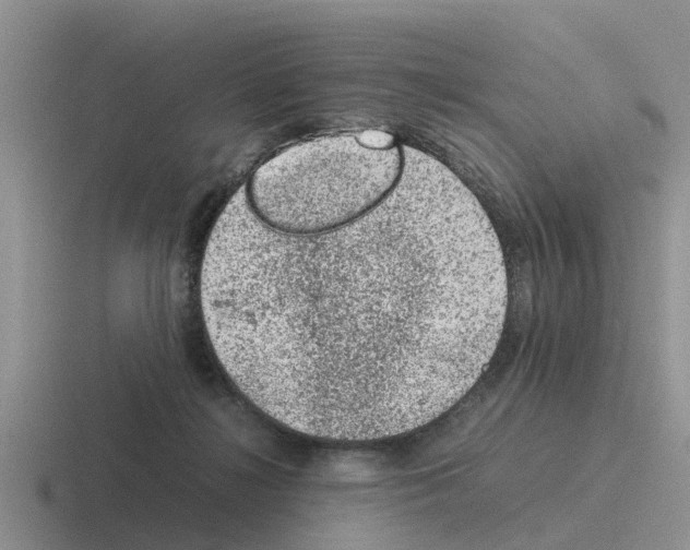 X0000116100268201001040957