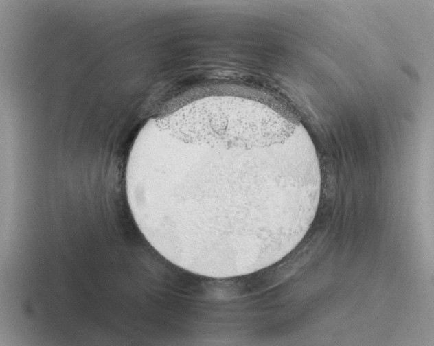 X0000116100273201001040957