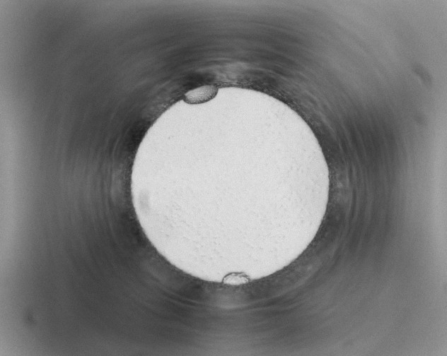 X0000116100275201001040957