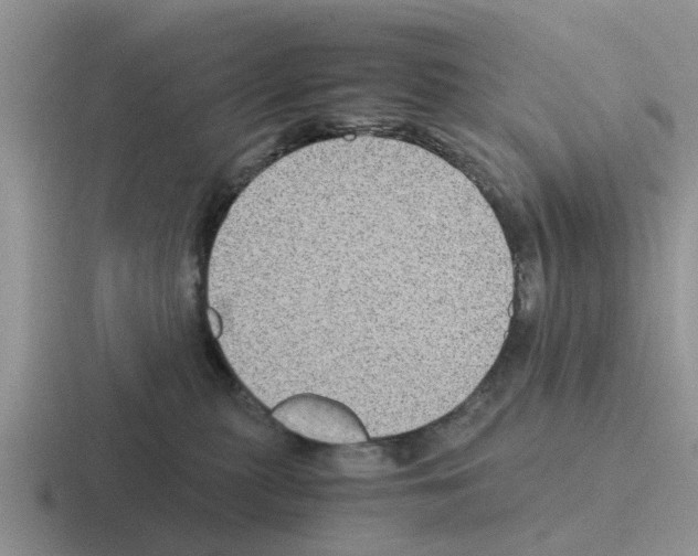 X0000116100279201001040958