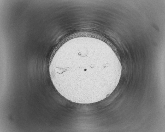 X0000116100282201001040958