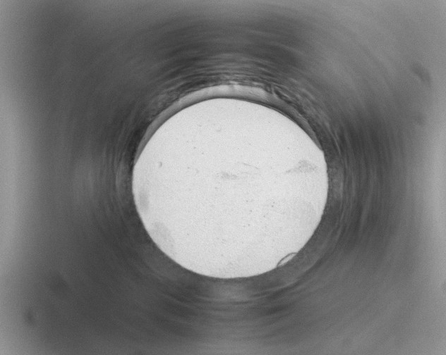 X0000116100283201001040958