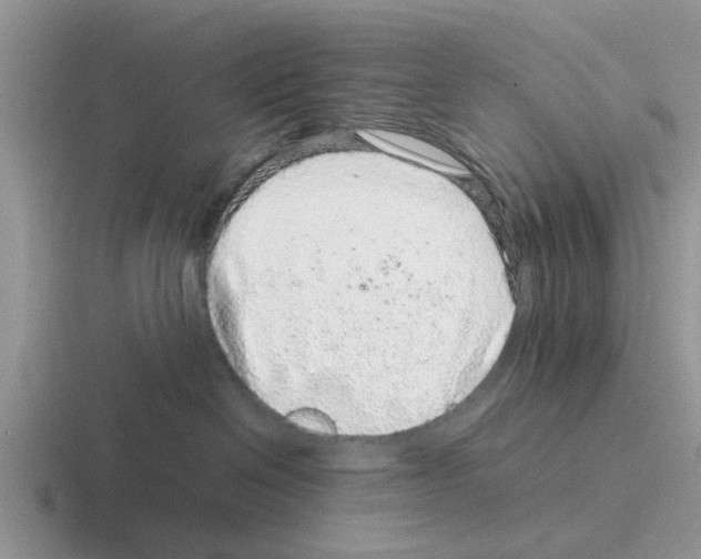 X0000116100286201001040958