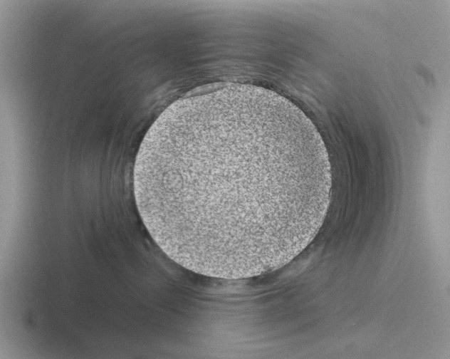 X0000116100288201001040958