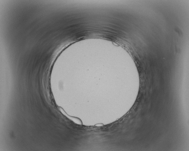 X0000116100289201001040957