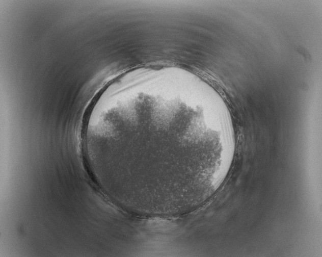 X0000116100290201001040957