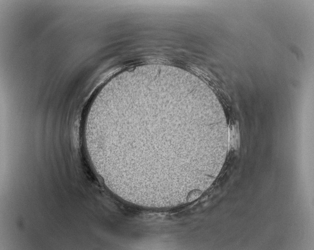 X0000116100291201001040957