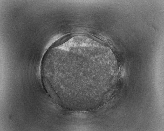 X0000116100292201001040957