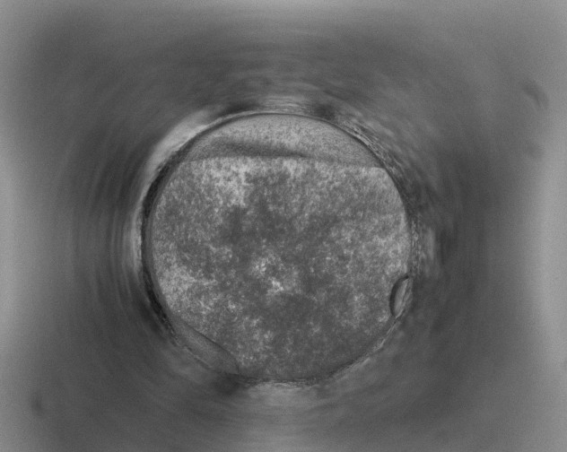 X0000116100294201001040957