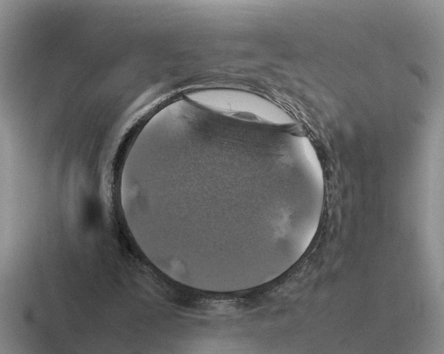 X0000116100295201001040957