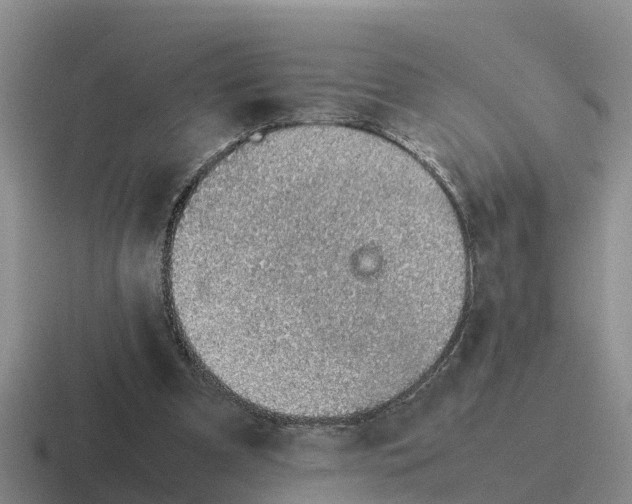 X0000116100297201001040957