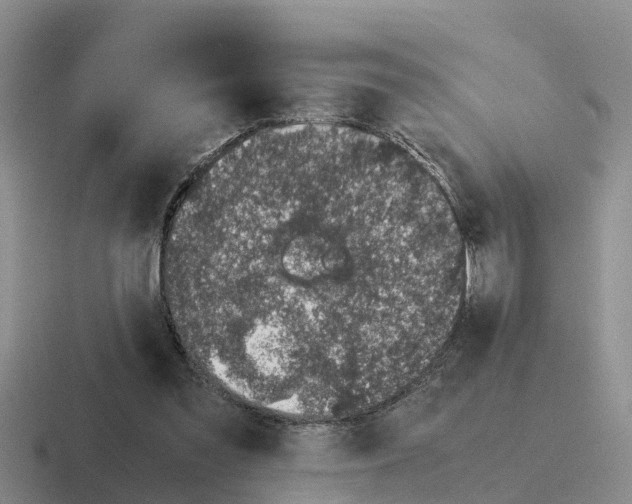 X0000116100301201001040957